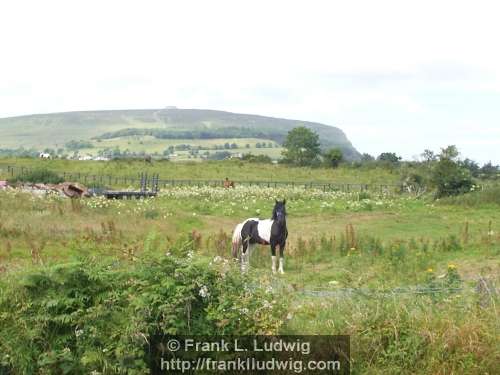 Strandhill Road